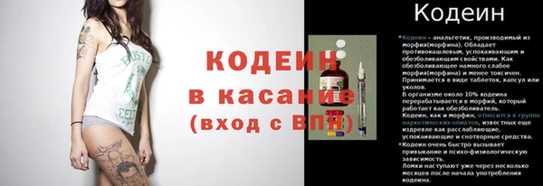 прущие грибы Аркадак