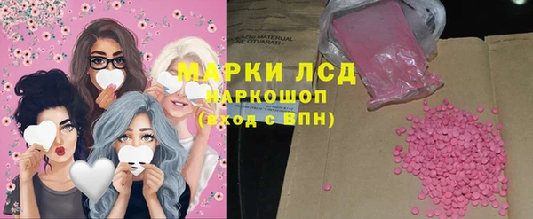 прущие грибы Аркадак