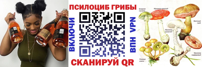 Псилоцибиновые грибы GOLDEN TEACHER  Снежинск 